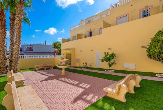 Rynek wtórny - Apartament - San Miguel de Salinas - Orihuela Costa