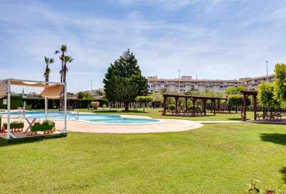 Rynek wtórny - Bungalow - Torrevieja - Parque de Las Naciones