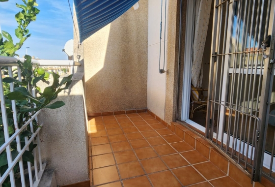 Rynek wtórny - Dupleks - Torrevieja - Aguas Nuevas