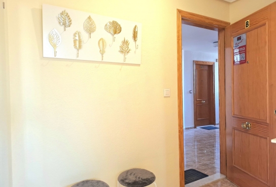 Rynek wtórny - Apartament - Torrevieja