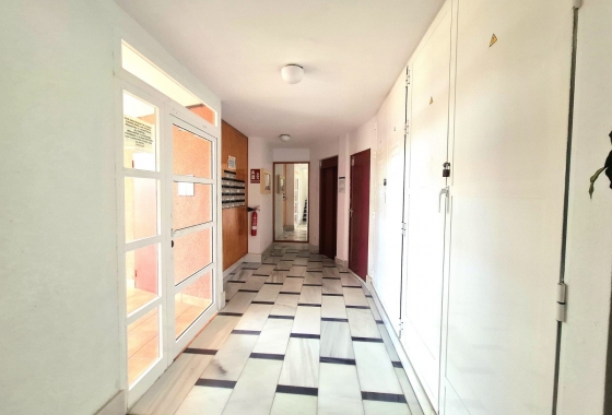 Rynek wtórny - Apartament - Torrevieja
