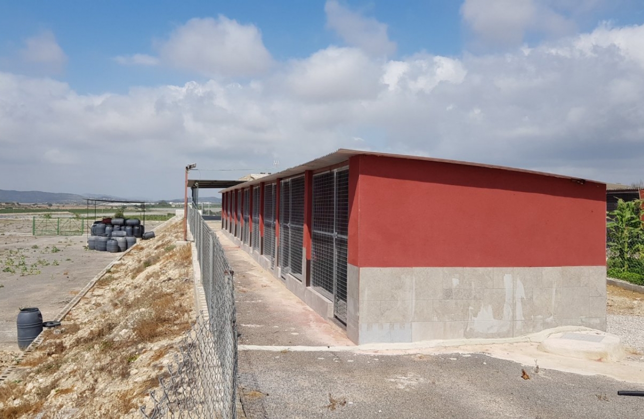 Rynek wtórny - Wiejska posiadłość - Los Montesinos