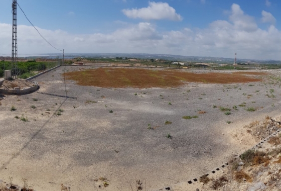 Rynek wtórny - Wiejska posiadłość - Los Montesinos