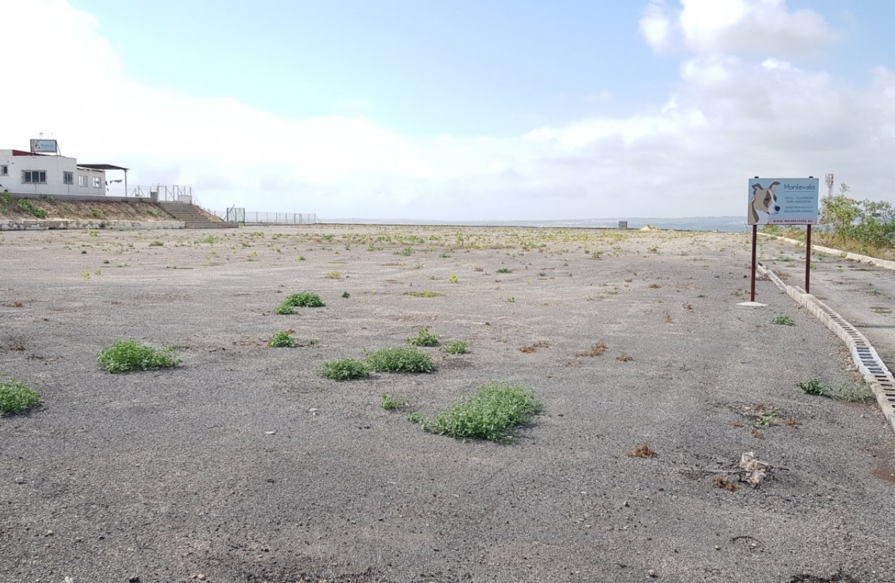 Rynek wtórny - Wiejska posiadłość - Los Montesinos