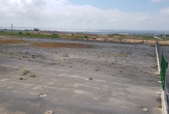 Rynek wtórny - Wiejska posiadłość - Los Montesinos