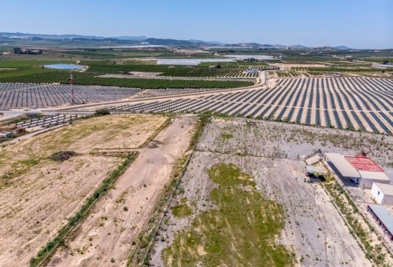 Rynek wtórny - Wiejska posiadłość - Los Montesinos