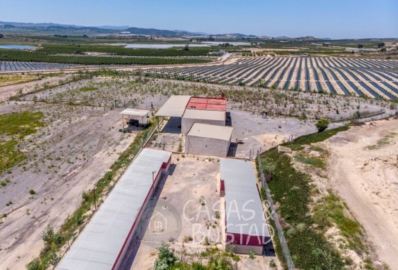 Resale - Country House - Los Montesinos