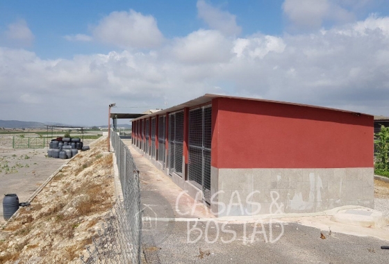 Resale - Country House - Los Montesinos