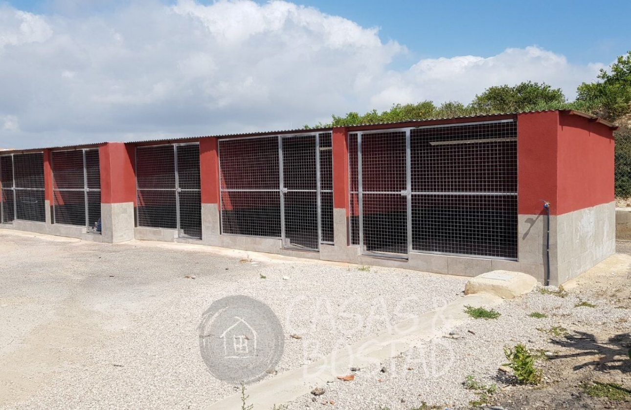 Resale - Country House - Los Montesinos