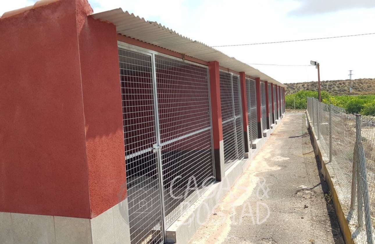 Resale - Country House - Los Montesinos