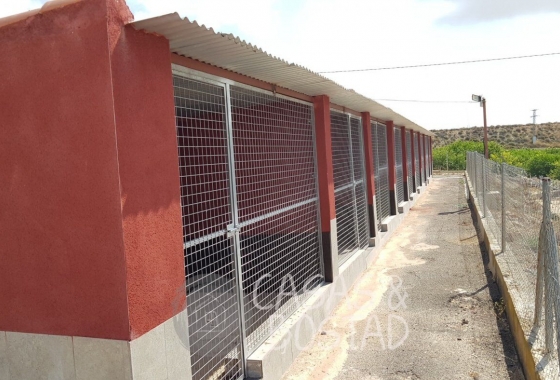 Resale - Country House - Los Montesinos