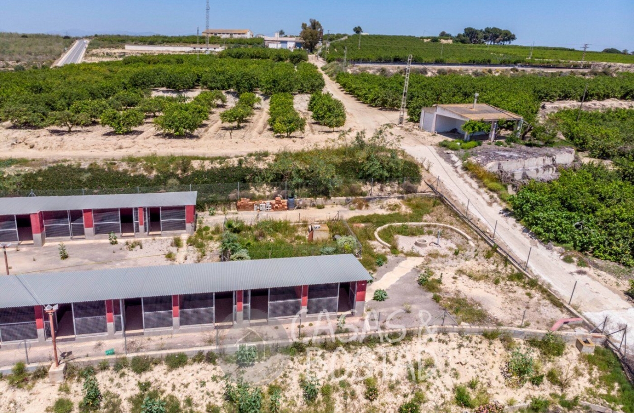 Resale - Country House - Los Montesinos