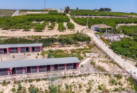 Resale - Country House - Los Montesinos