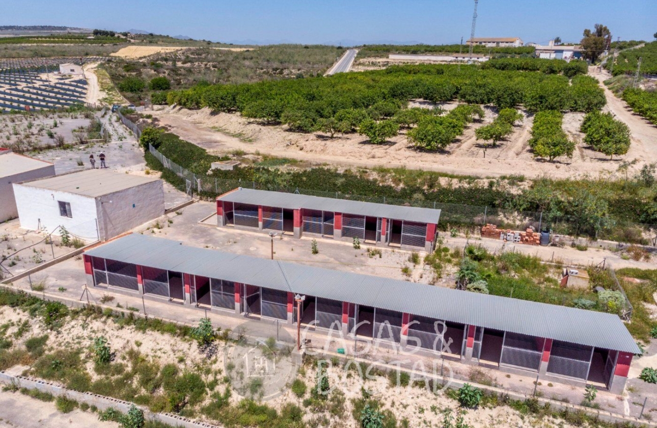 Resale - Country House - Los Montesinos