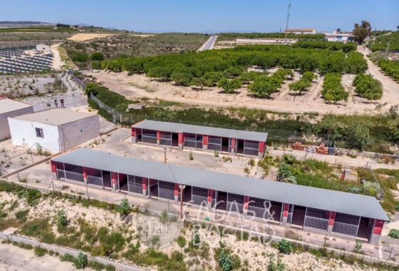 Resale - Country House - Los Montesinos