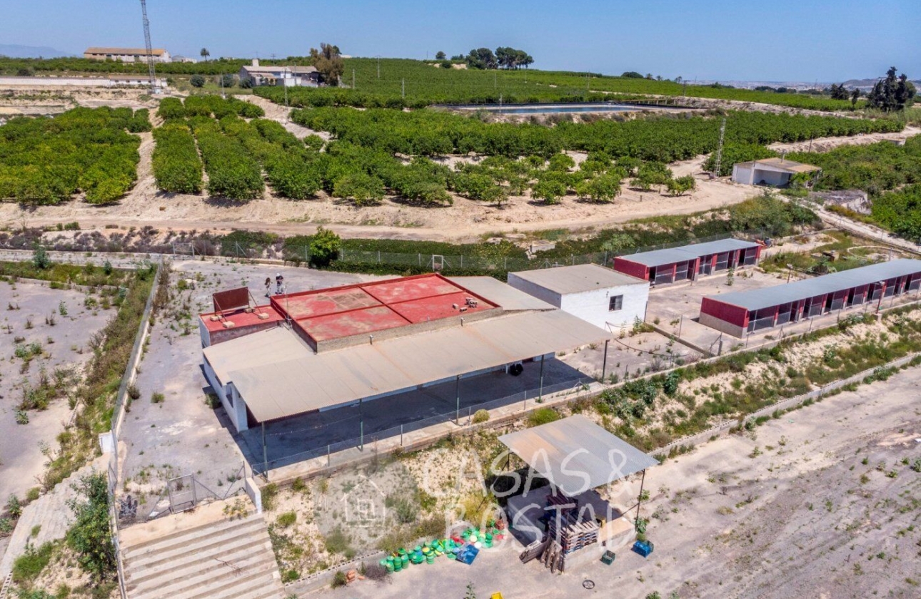 Resale - Country House - Los Montesinos