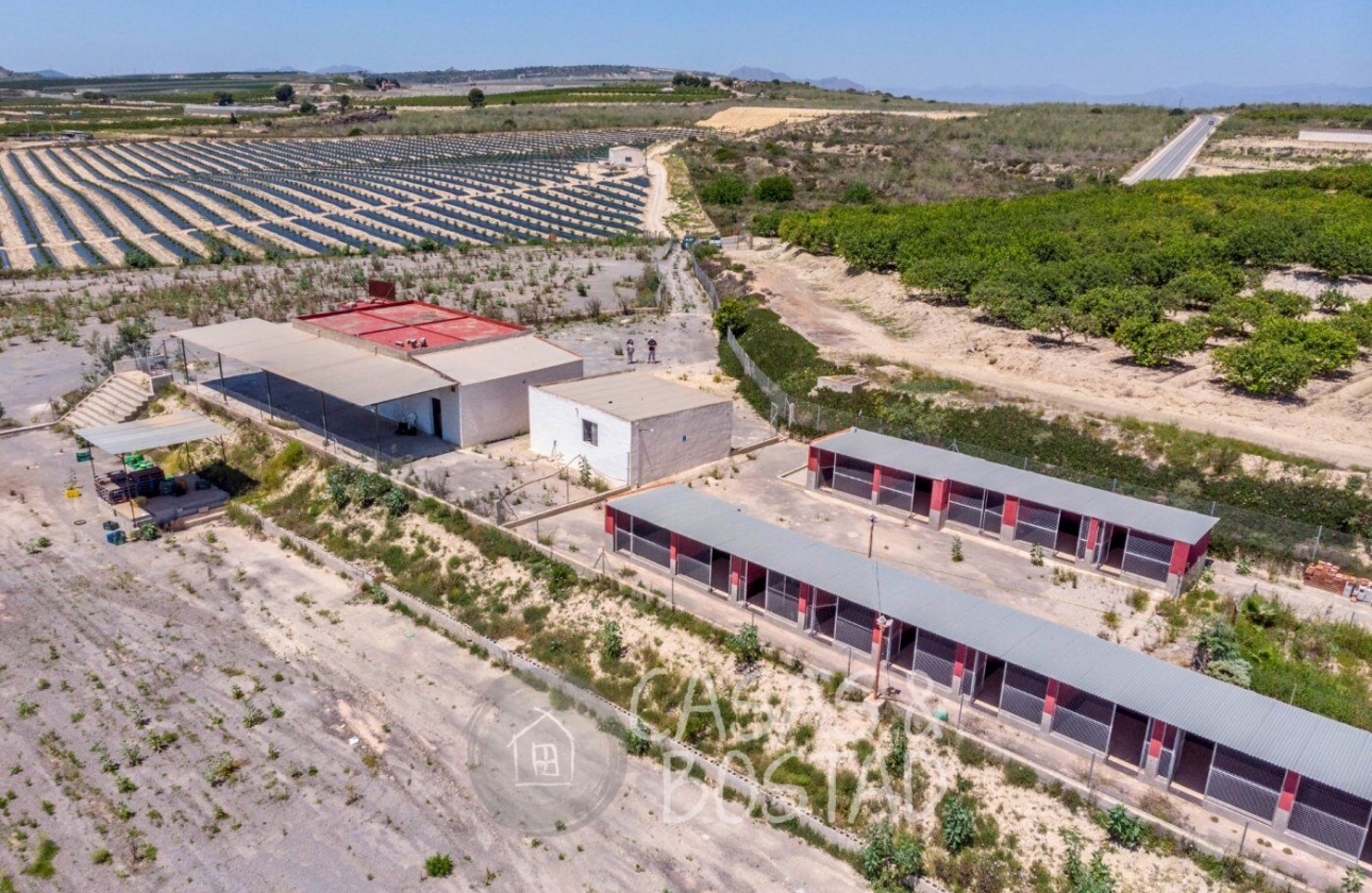 Resale - Country House - Los Montesinos