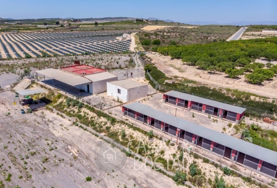 Resale - Country House - Los Montesinos