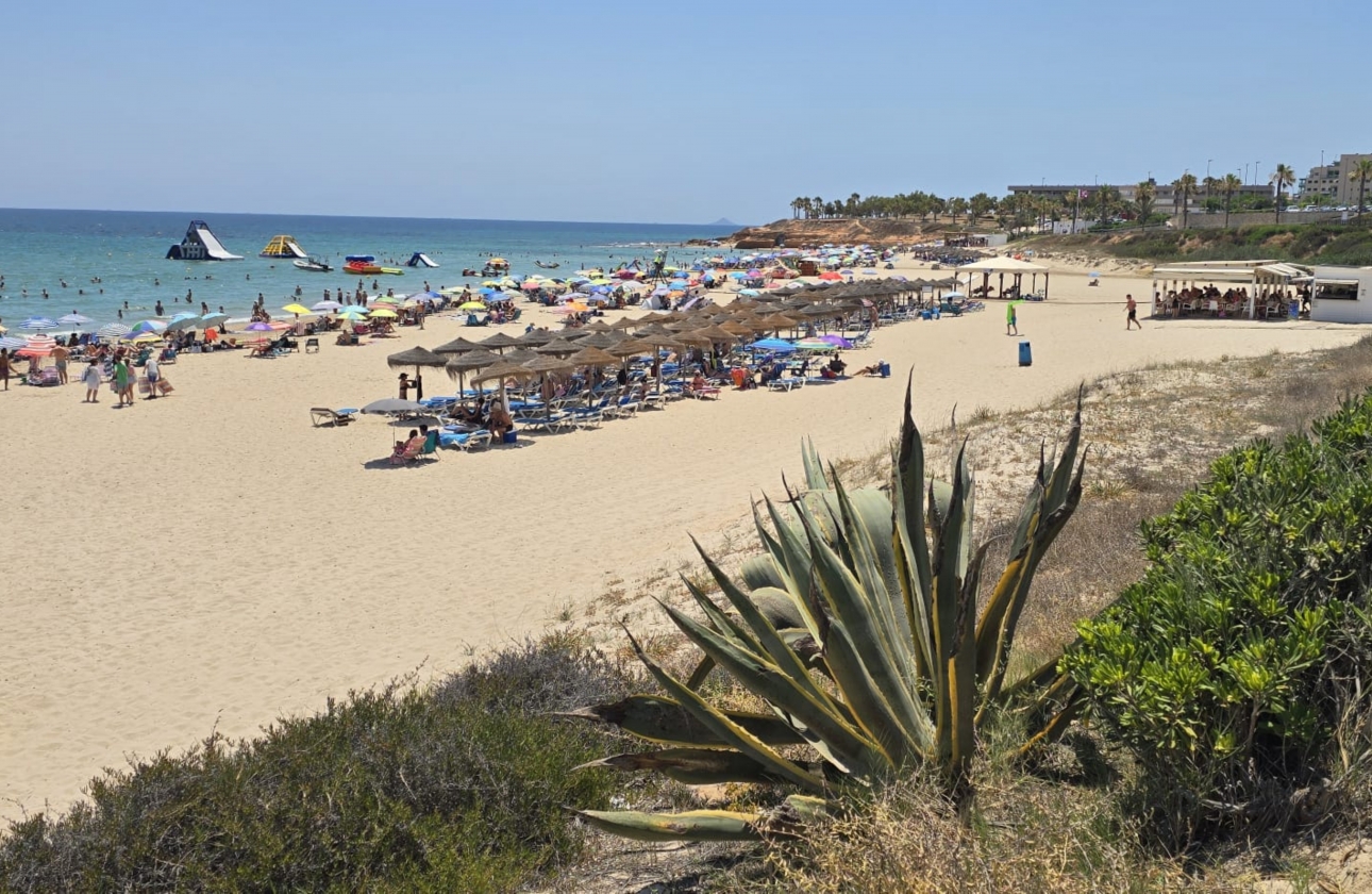 Rynek wtórny - Bungalow - Orihuela Costa - Mil Palmeras