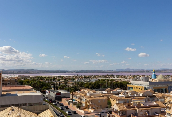 Rynek wtórny - Penthouse - Torrevieja - El Molino
