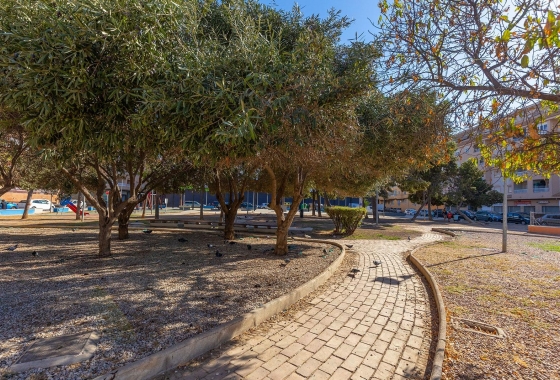 Rynek wtórny - Penthouse - Torrevieja - El Molino