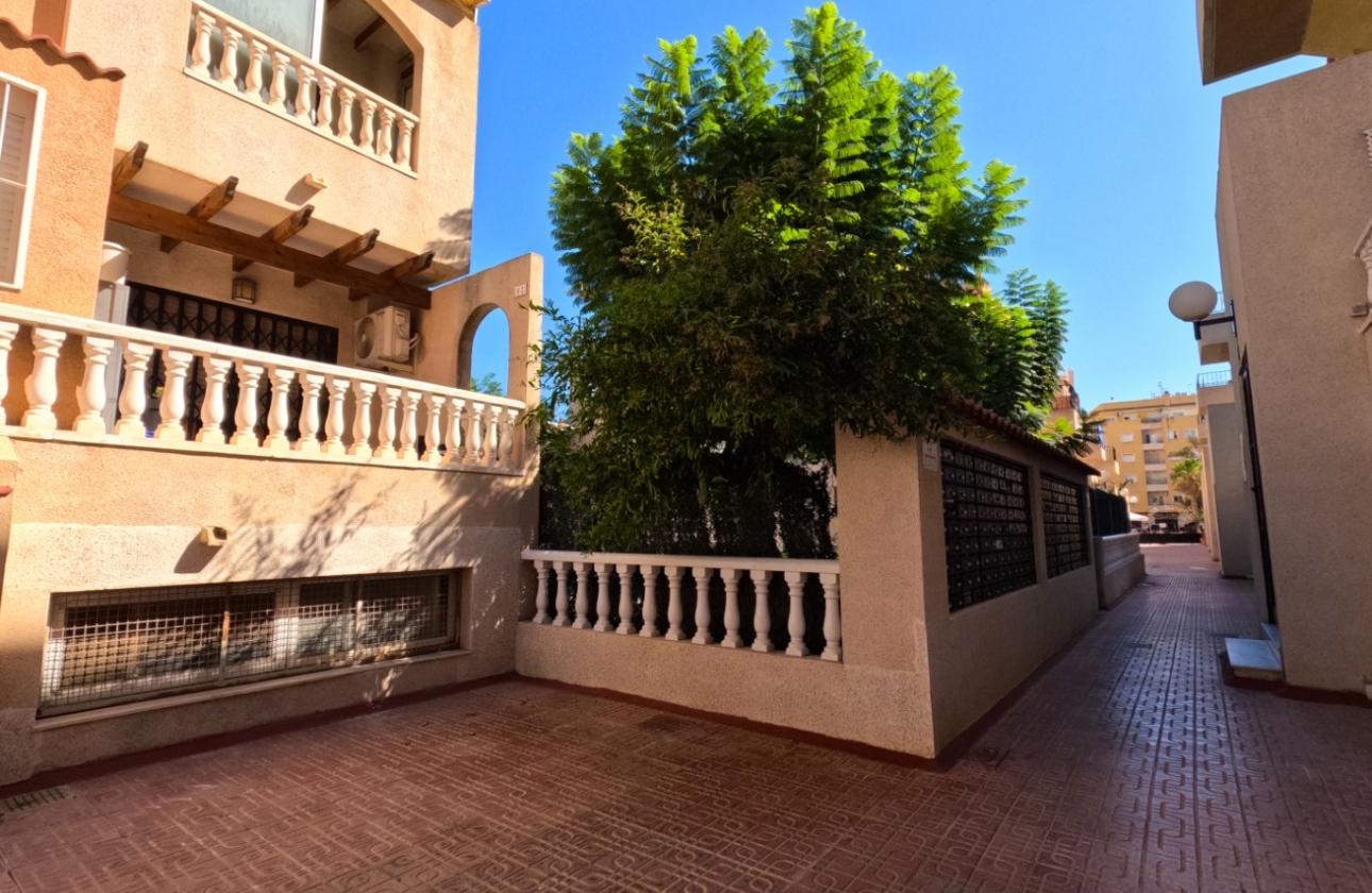 Reventa - Apartment - Torrevieja