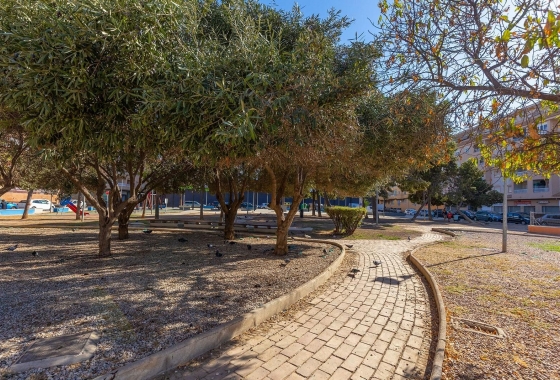 Rynek wtórny - Penthouse - Torrevieja - El Molino