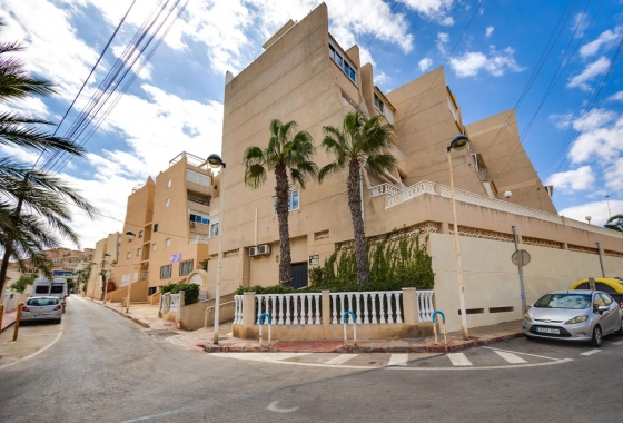 Rynek wtórny - Apartament - Torrevieja - La Mata