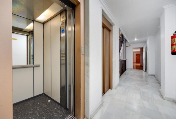 Rynek wtórny - Apartament - Guardamar del Segura - Guardamar Centro