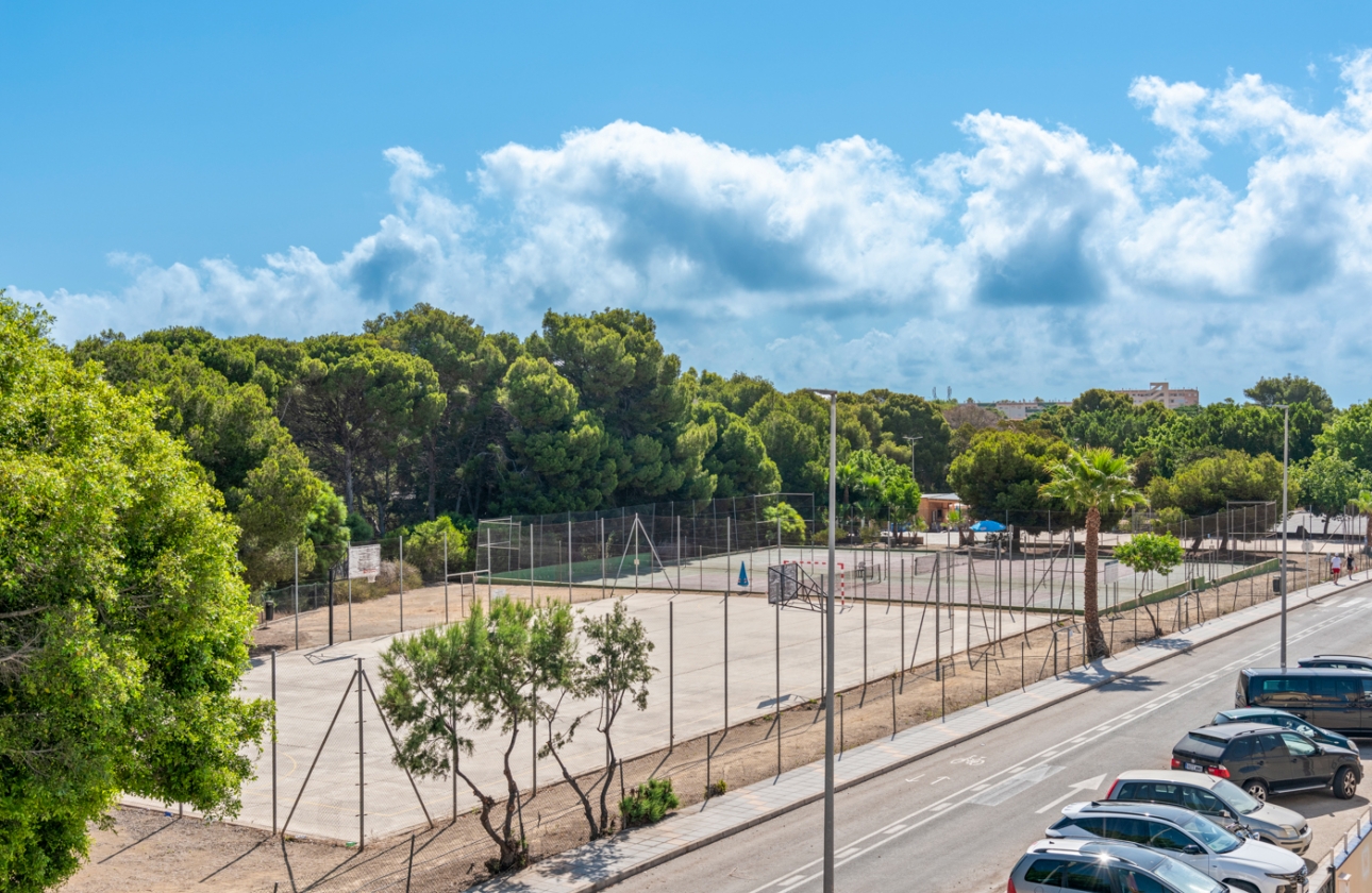 Obra nueva - Detached - Pilar de la Horadada