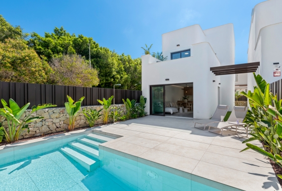 Obra nueva - Detached - Pilar de la Horadada