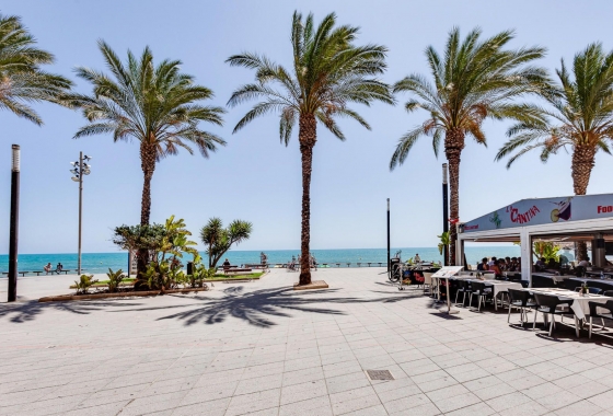 Rynek wtórny - Apartament - Torrevieja - Centro - Muelle Pesquero
