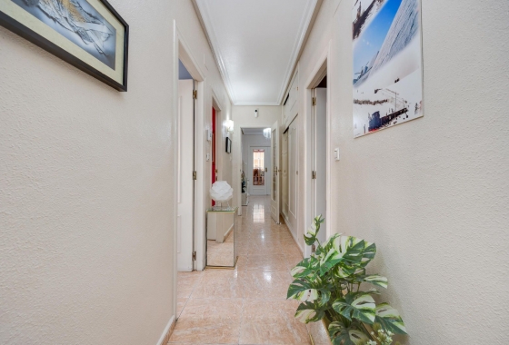 Rynek wtórny - Apartament - Torrevieja - Centro - Muelle Pesquero