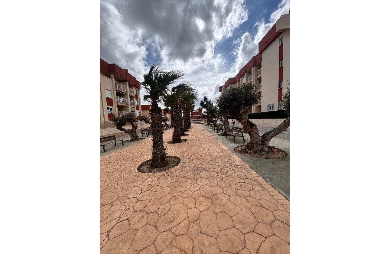 New Build - Apartment - Orihuela Costa