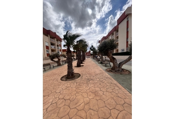 New Build - Apartment - Orihuela Costa