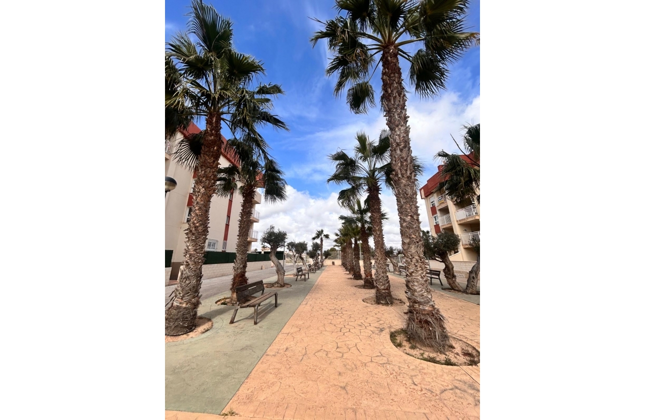 New Build - Apartment - Orihuela Costa