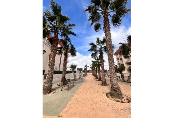 Obra nueva - Ático - Orihuela Costa