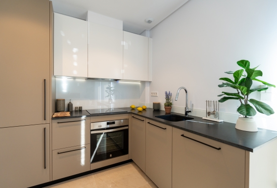 Obra nueva - Adosado - Elche