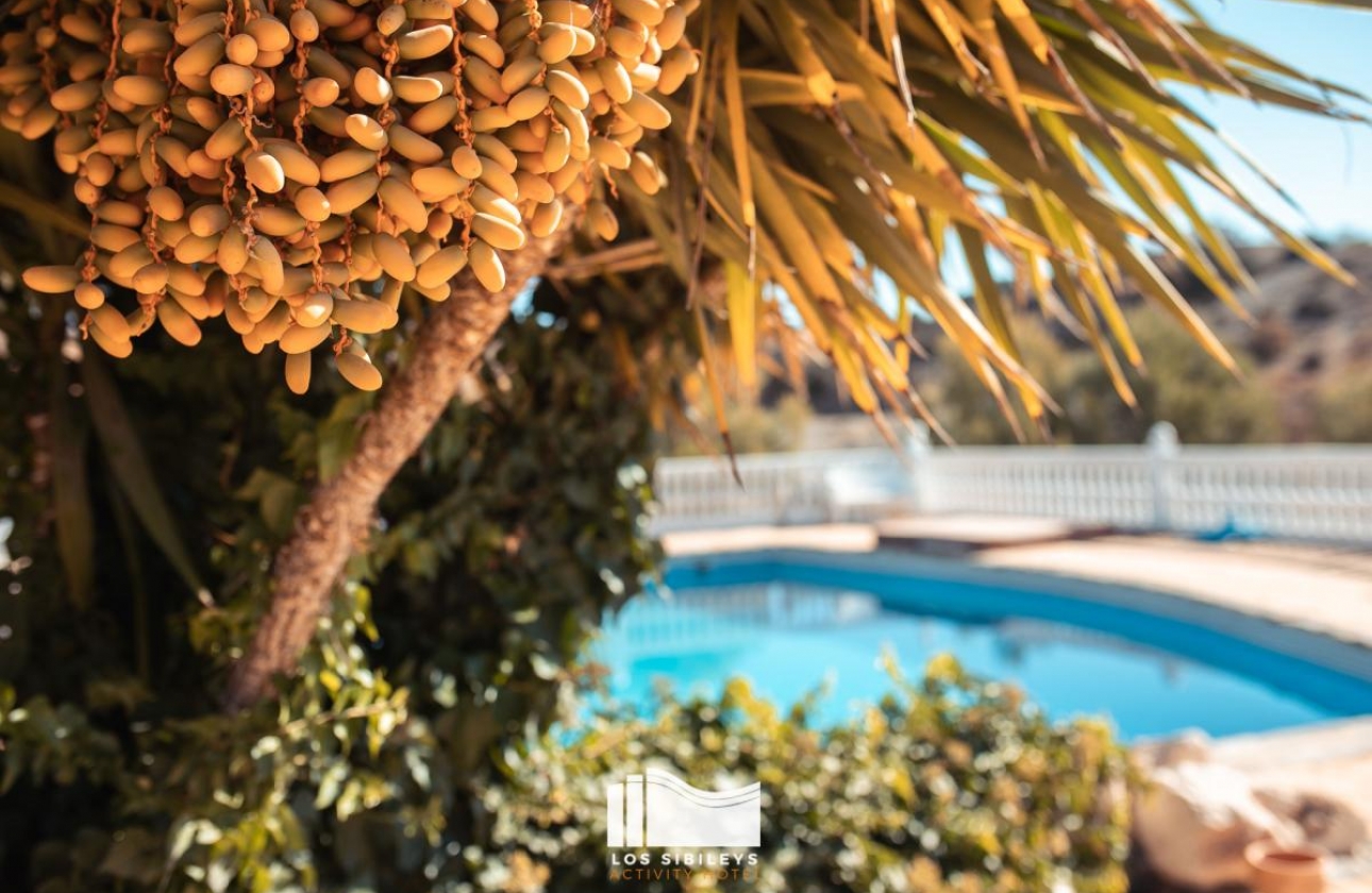 Resale - Country House - Murcia