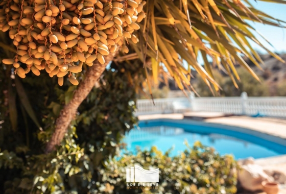 Resale - Country House - Murcia