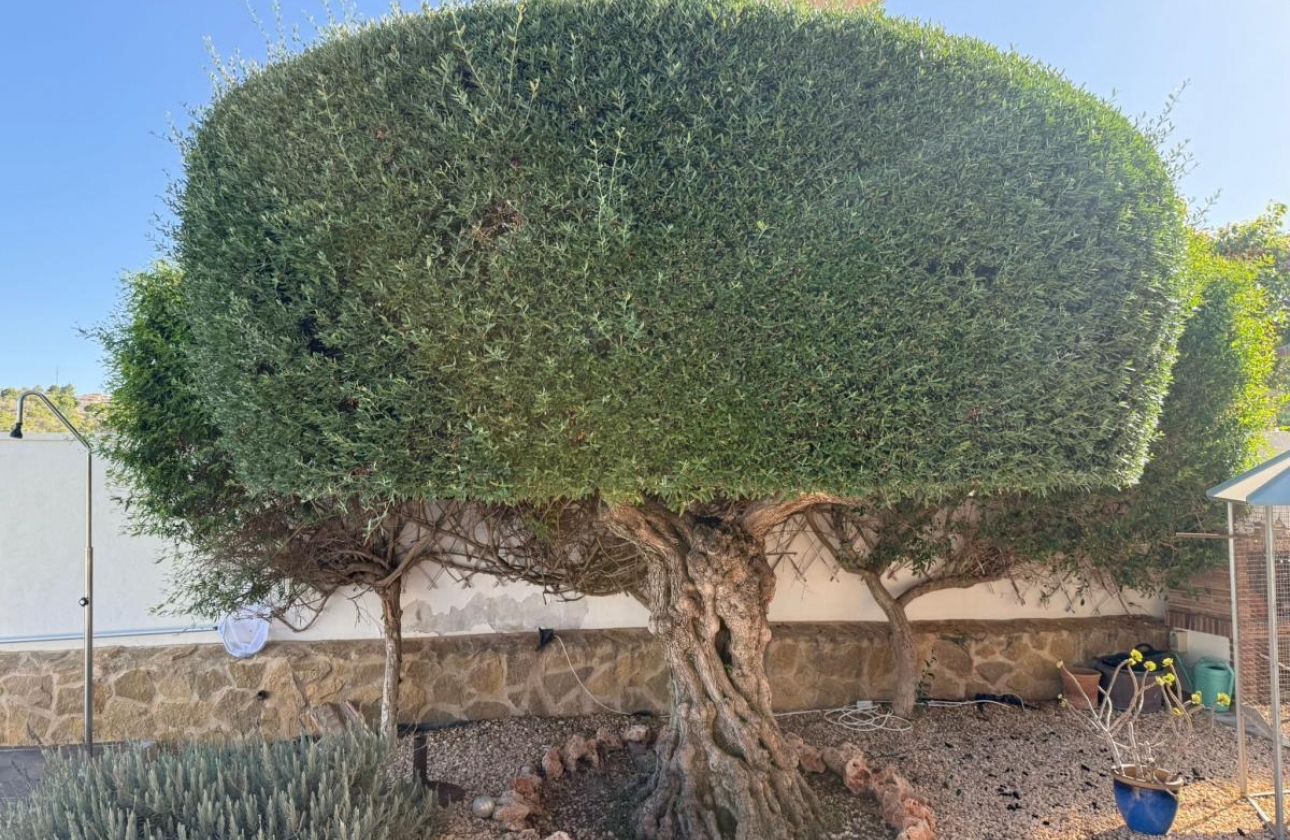 Reventa - Villa - San Miguel de Salinas