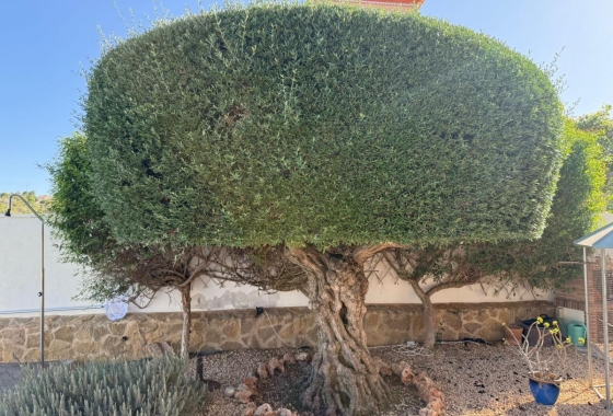 Reventa - Villa - San Miguel de Salinas