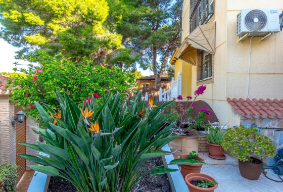 Rynek wtórny - Villa - Torrevieja - Los Balcones