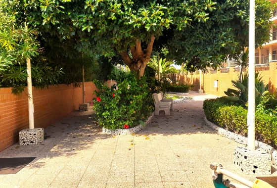 Rynek wtórny - Apartament - Oropesa del Mar - Orpesa - Oropesa del Mar