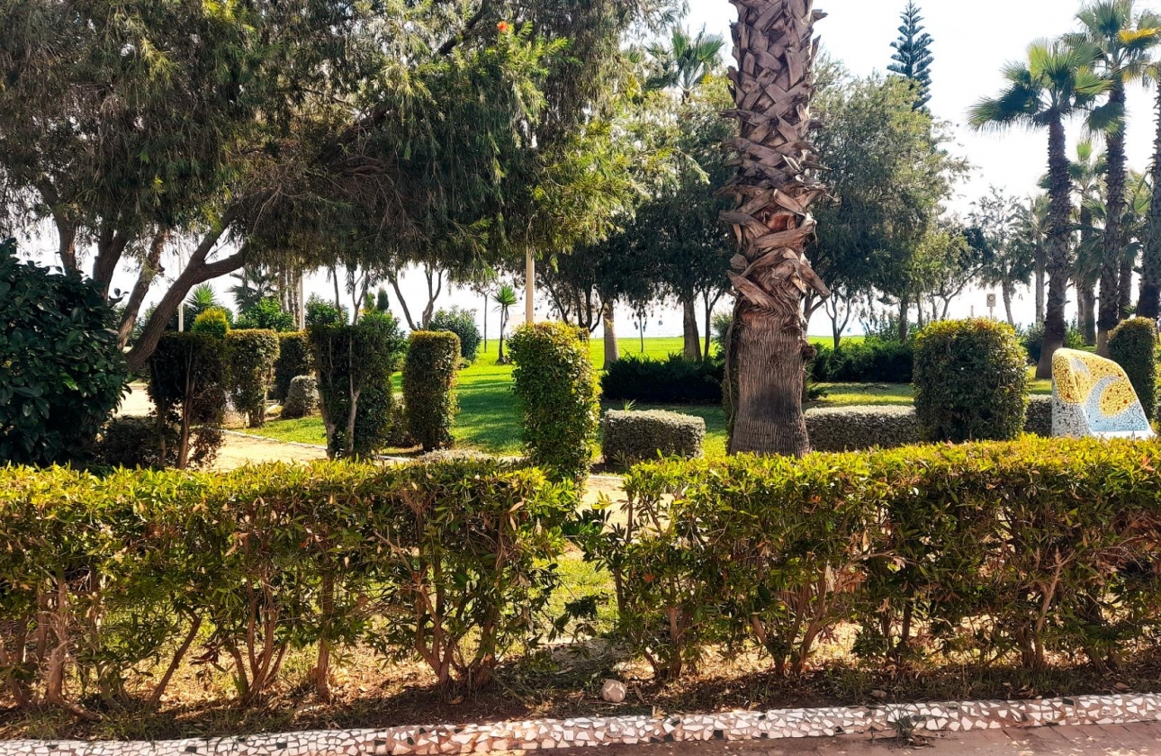 Rynek wtórny - Apartament - Oropesa del Mar - Orpesa - Oropesa del Mar