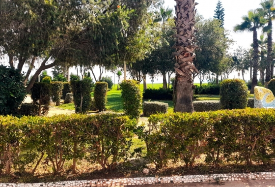 Rynek wtórny - Apartament - Oropesa del Mar - Orpesa - Oropesa del Mar