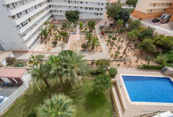 Rynek wtórny - Penthouse - Torrevieja - Torreblanca