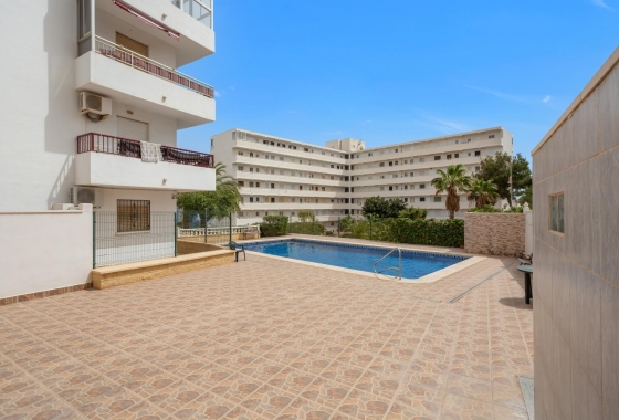 Rynek wtórny - Penthouse - Torrevieja - Torreblanca