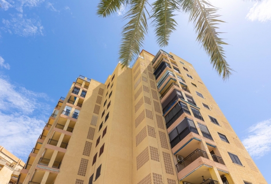 Rynek wtórny - Apartament - Torrevieja - Playa del Cura