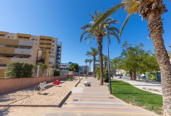 Resale - Apartment - Torrevieja - Estacion de autobuses